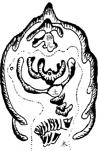 13.png