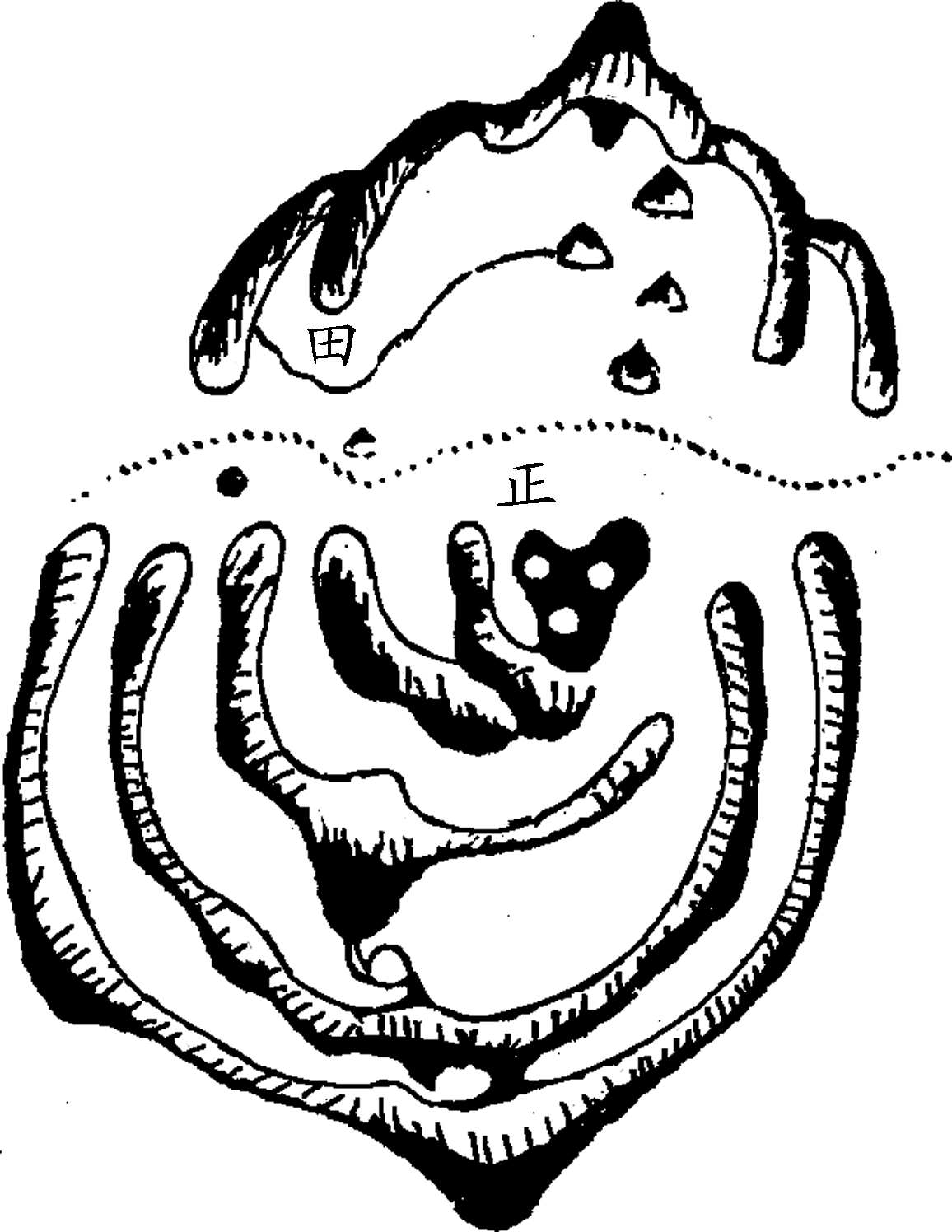 73.png